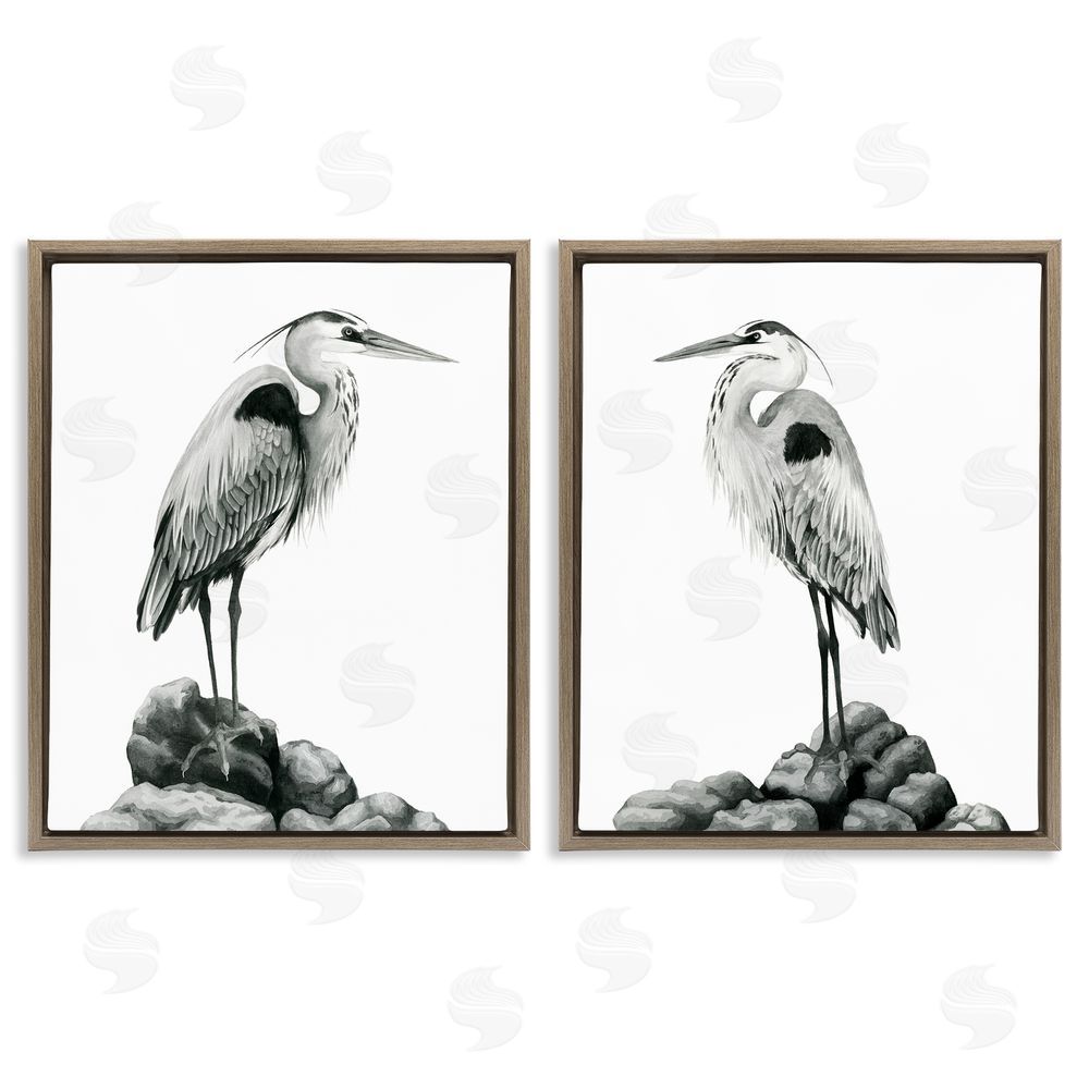Grace Popp Great Herons Standing Rocks Bird Portraits Brown Floating Frame Canvas Wall Art Print