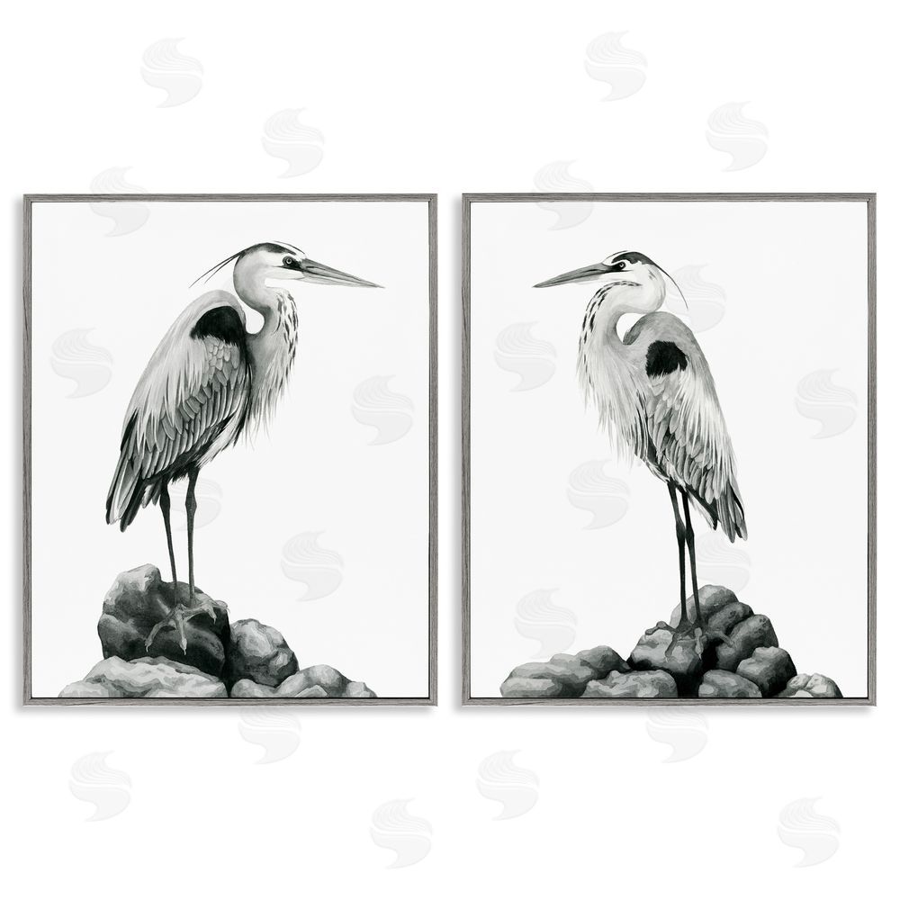 Grace Popp Great Herons Standing Rocks Bird Portraits Gray Framed Giclee Wall Art Print