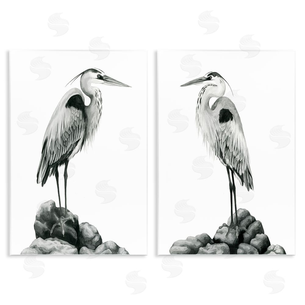 Grace Popp Great Herons Standing Rocks Bird Portraits Wooden Wall Plaque Art Print