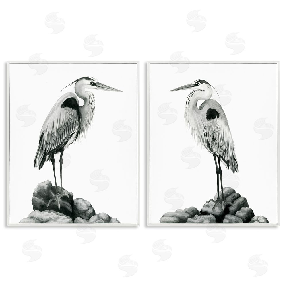 Grace Popp Great Herons Standing Rocks Bird Portraits White Framed Giclee Wall Art Print