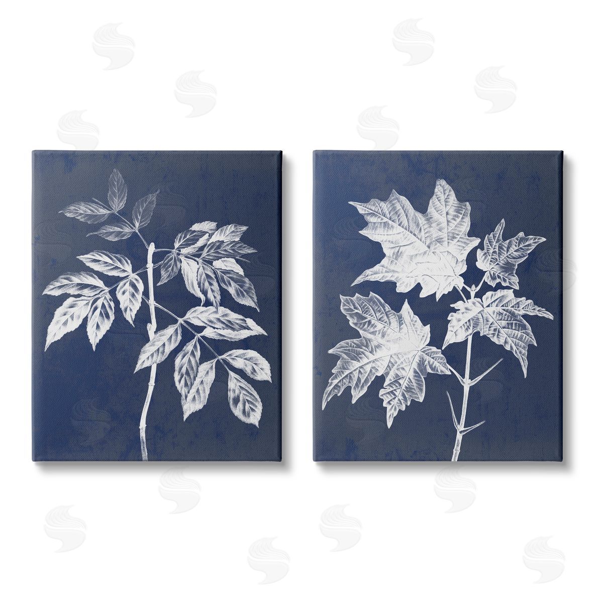 Stupell Studio Maple Leaf Elm Stem Vintage Illustration Canvas Wall Art Print