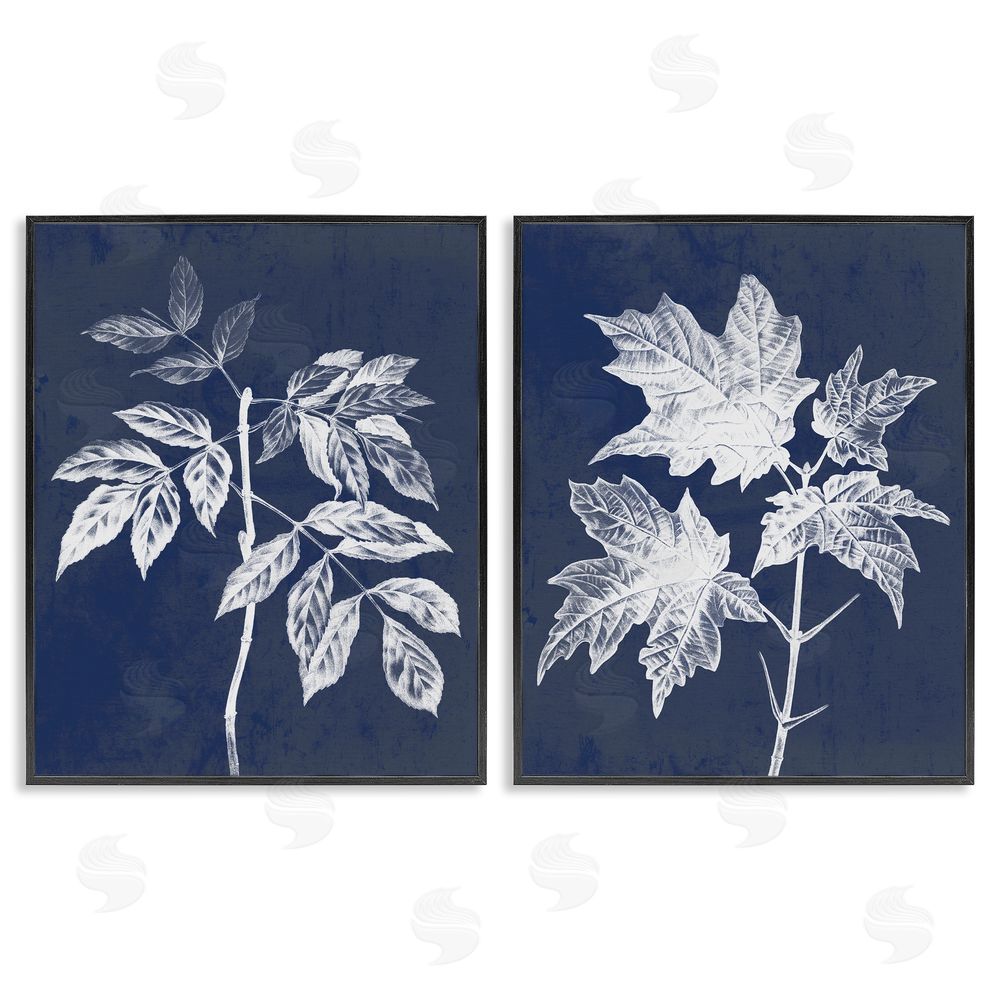 Stupell Studio Maple Leaf Elm Stem Vintage Illustration Black Framed Giclee Wall Art Print