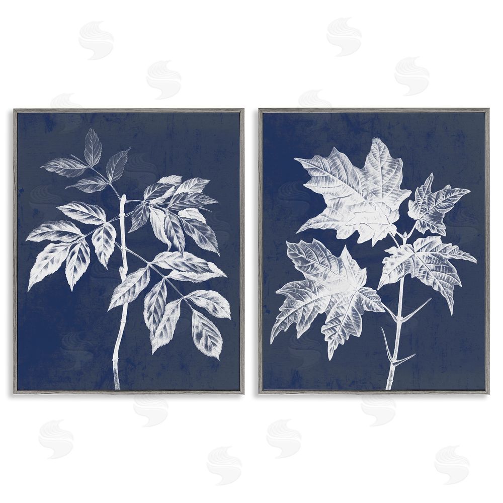 Stupell Studio Maple Leaf Elm Stem Vintage Illustration Gray Framed Giclee Wall Art Print