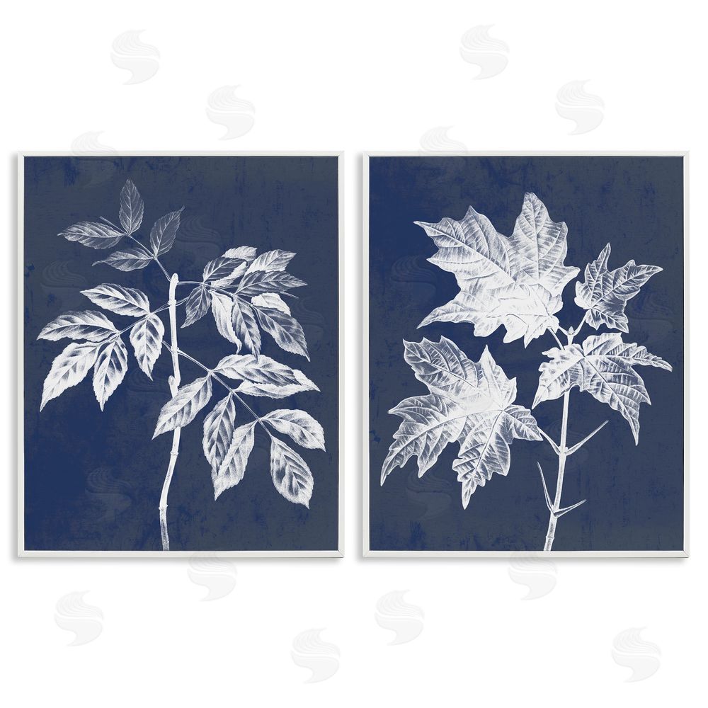 Stupell Studio Maple Leaf Elm Stem Vintage Illustration White Framed Giclee Wall Art Print