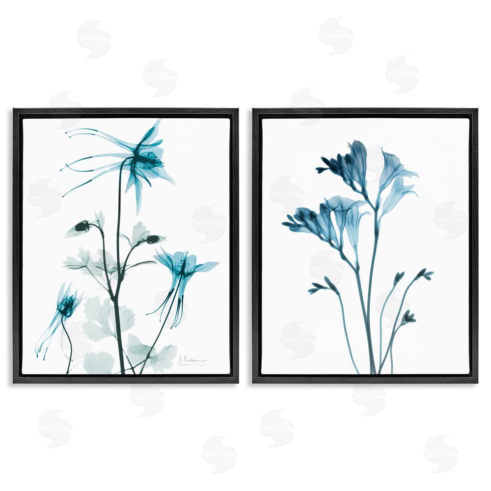 Albert Koetsier Beautiful Minimalist Blue Flower Plant Stem Black Floating Frame Canvas Wall Art Print