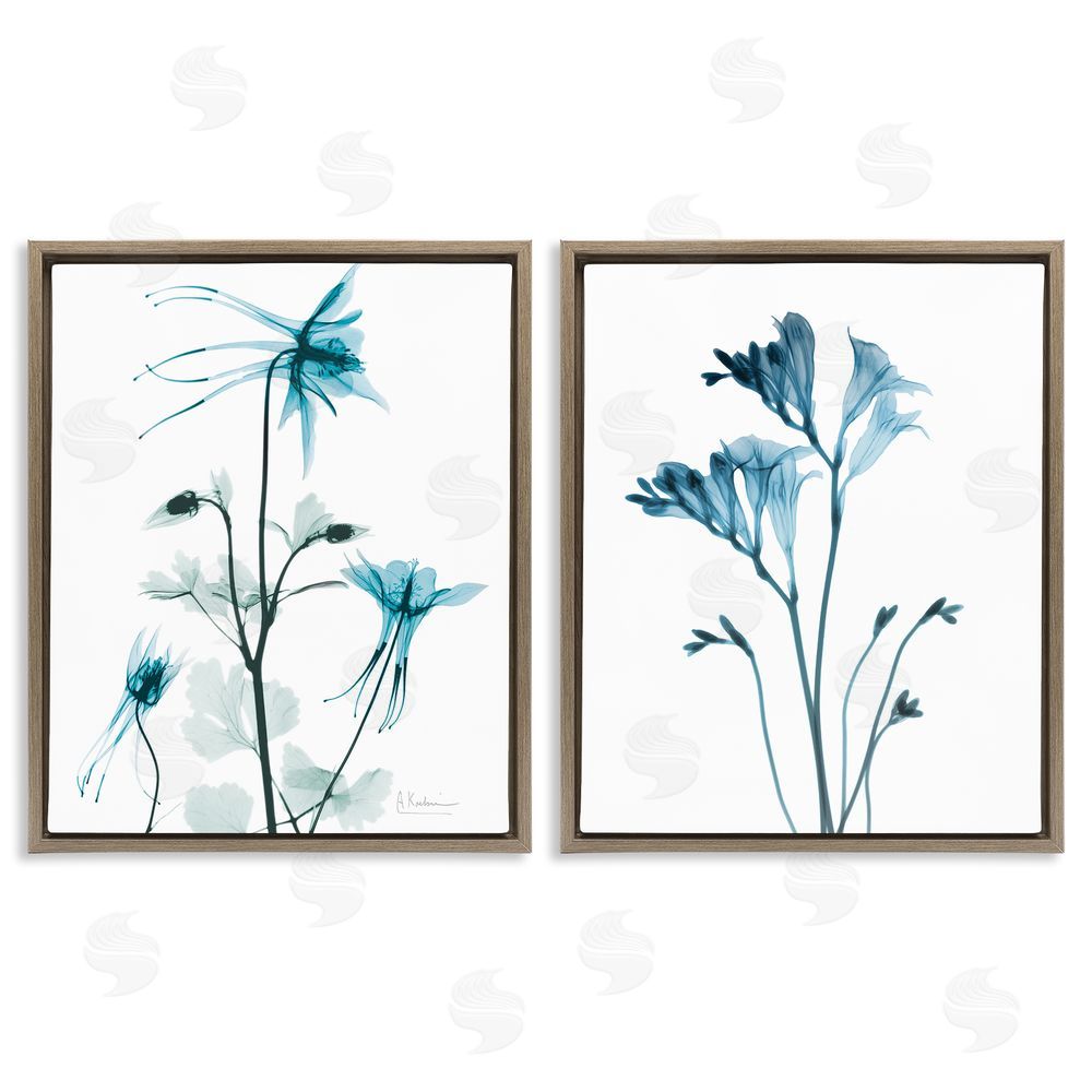 Albert Koetsier Beautiful Minimalist Blue Flower Plant Stem Brown Floating Frame Canvas Wall Art Print