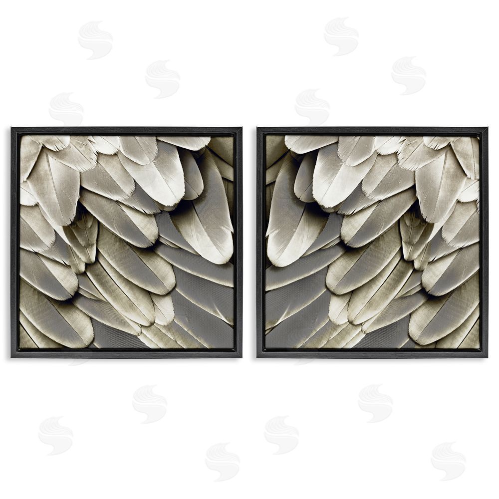 Julia Bosco Feathered Bird Wings Lovely Close Up Black Floating Frame Canvas Wall Art Print
