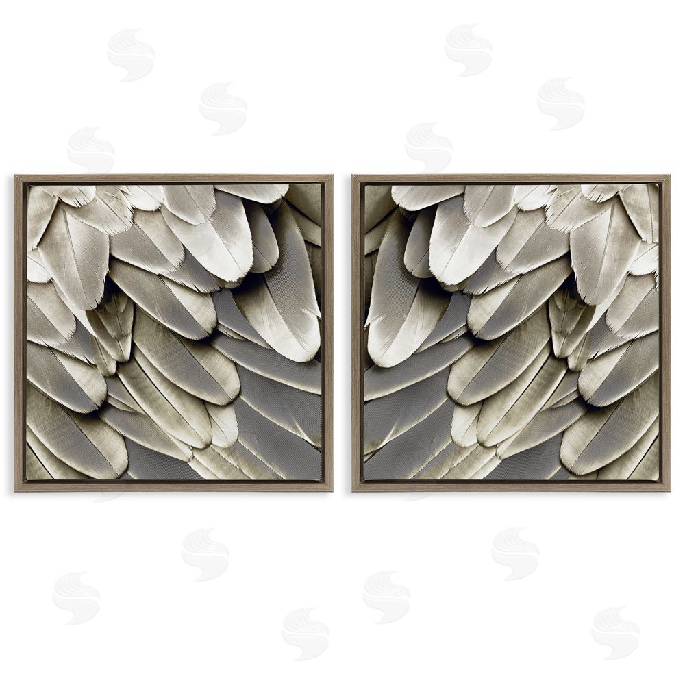 Julia Bosco Feathered Bird Wings Lovely Close Up Brown Floating Frame Canvas Wall Art Print