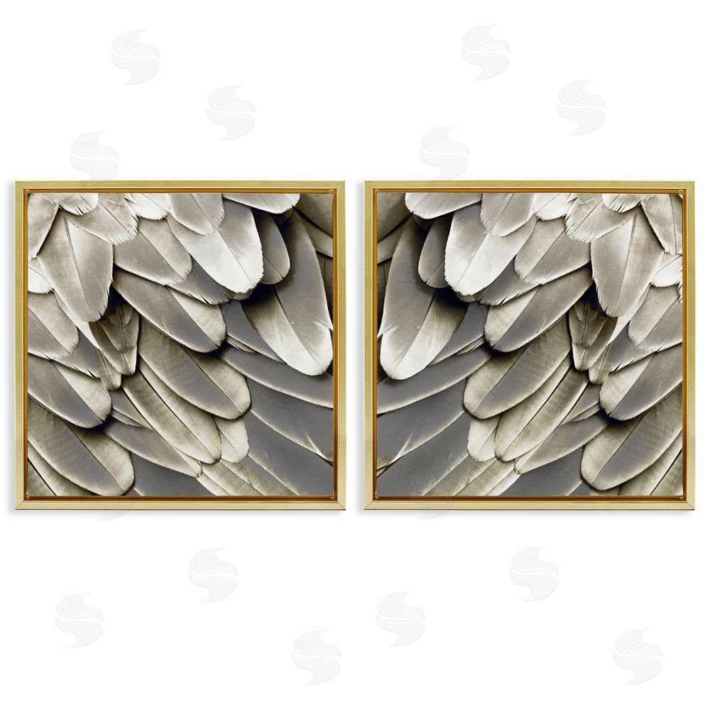 Julia Bosco Feathered Bird Wings Lovely Close Up Gold Floating Frame Canvas Wall Art Print