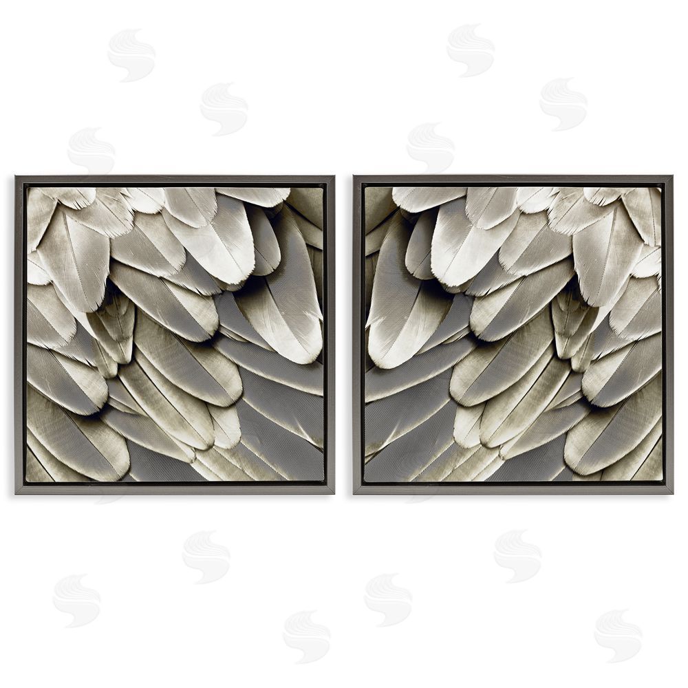 Julia Bosco Feathered Bird Wings Lovely Close Up Gray Floating Frame Canvas Wall Art Print
