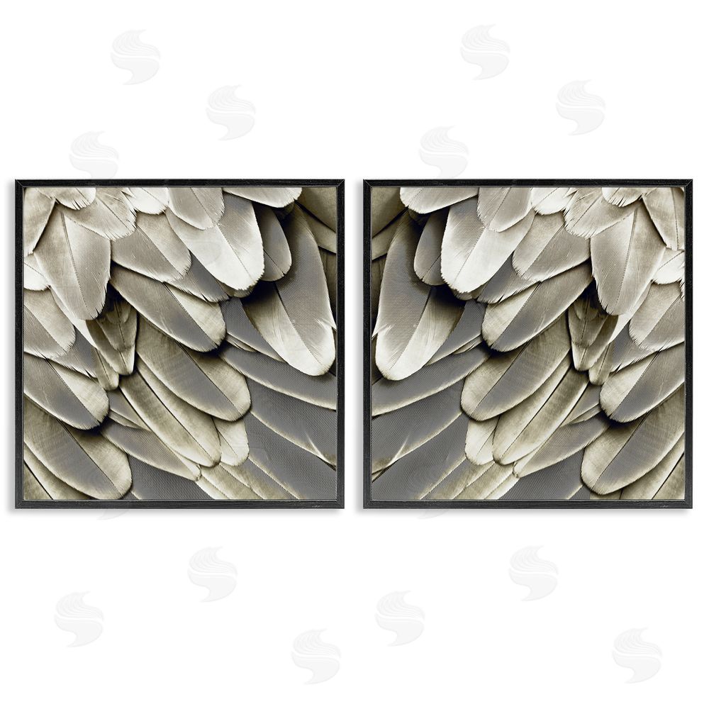 Julia Bosco Feathered Bird Wings Lovely Close Up Black Framed Giclee Wall Art Print