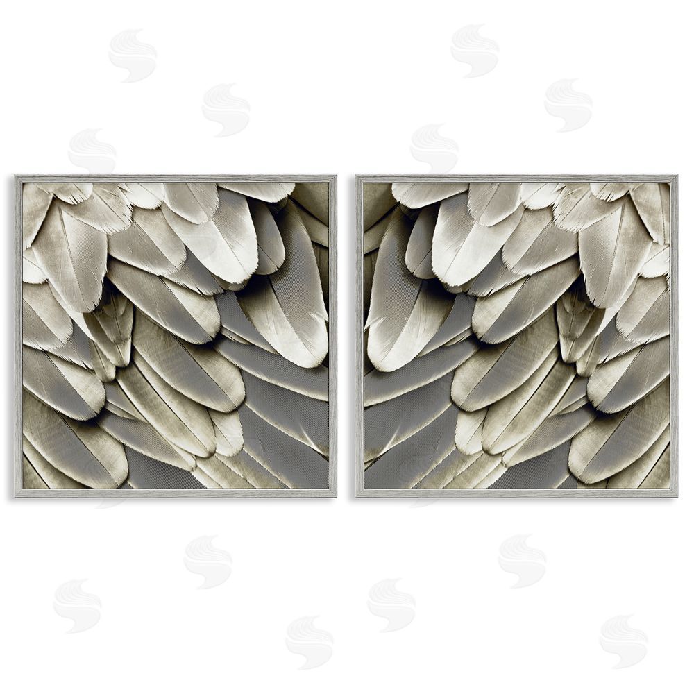 Julia Bosco Feathered Bird Wings Lovely Close Up Gray Framed Giclee Wall Art Print