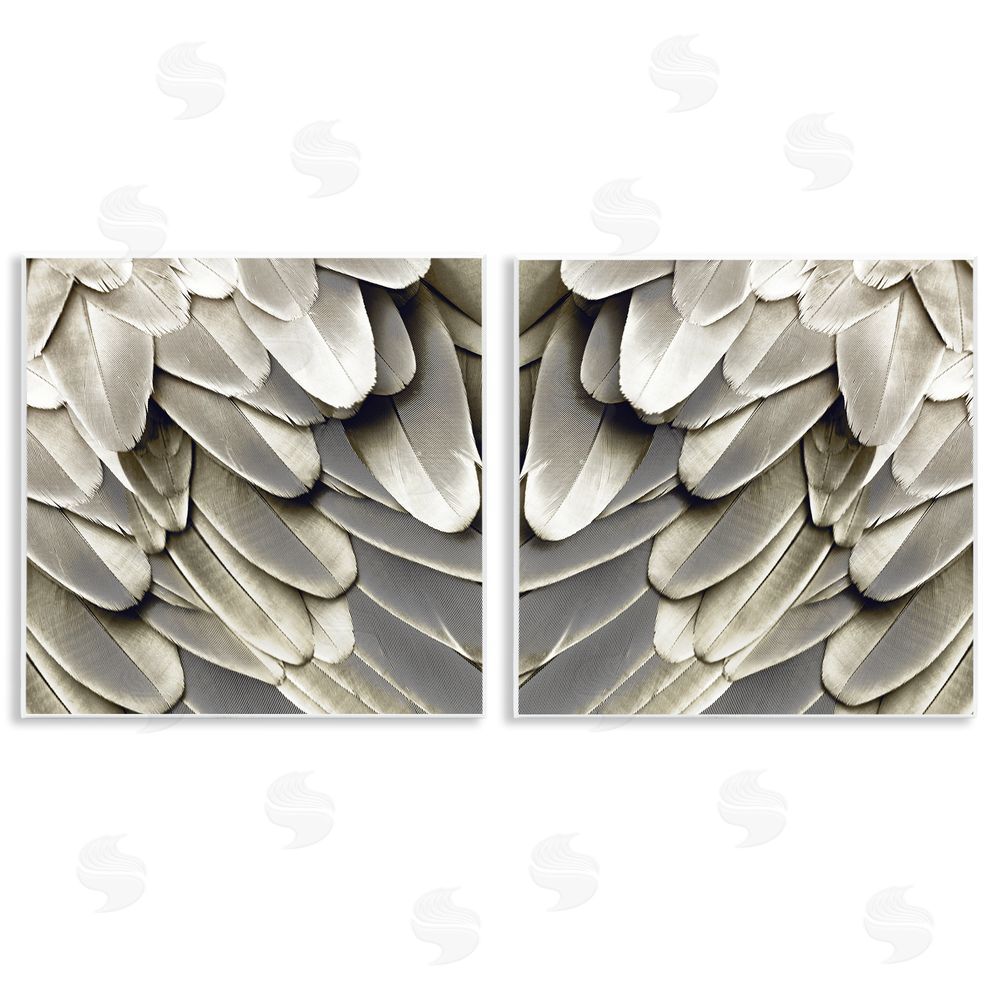 Julia Bosco Feathered Bird Wings Lovely Close Up Wooden Wall Plaque Art Print