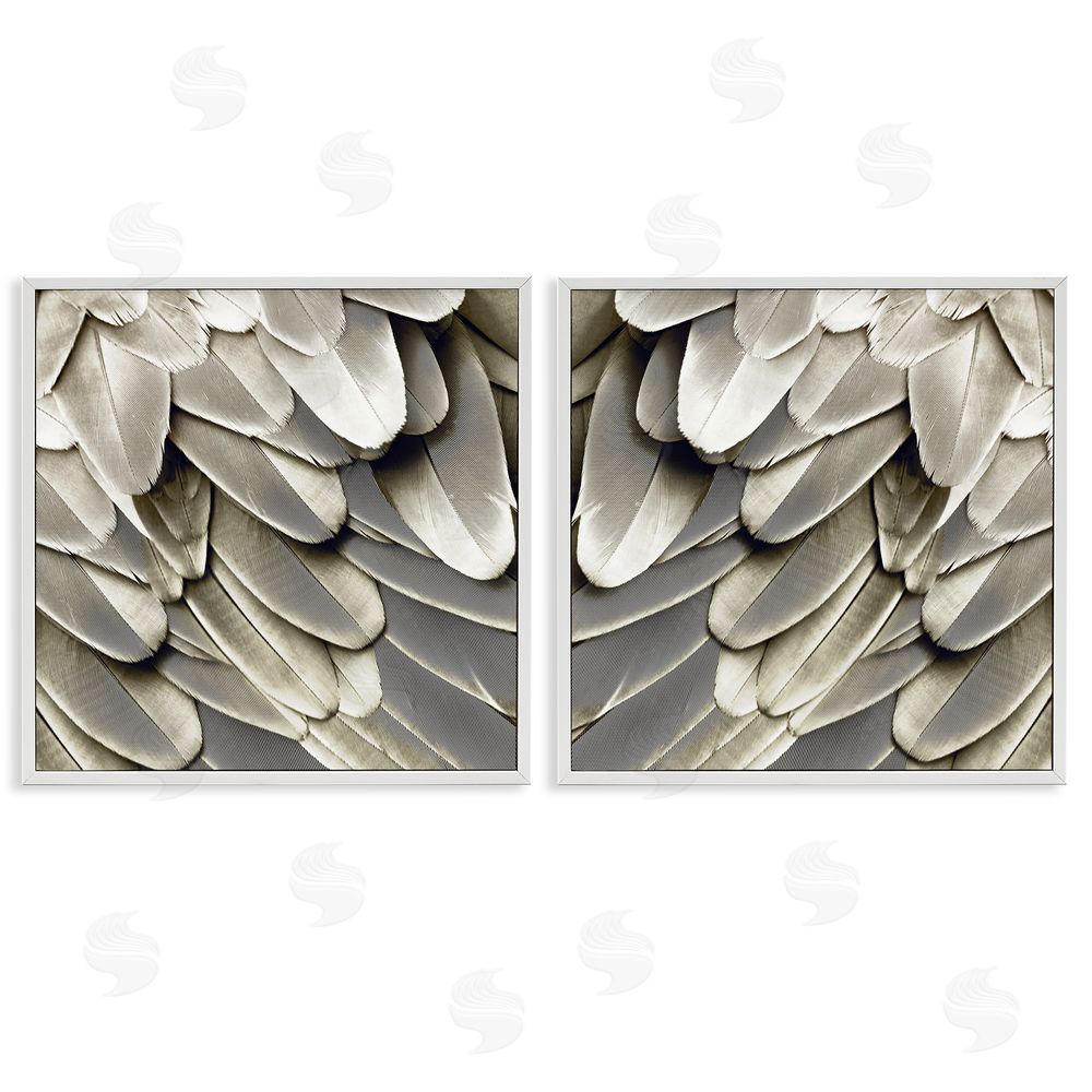 Julia Bosco Feathered Bird Wings Lovely Close Up White Framed Giclee Wall Art Print