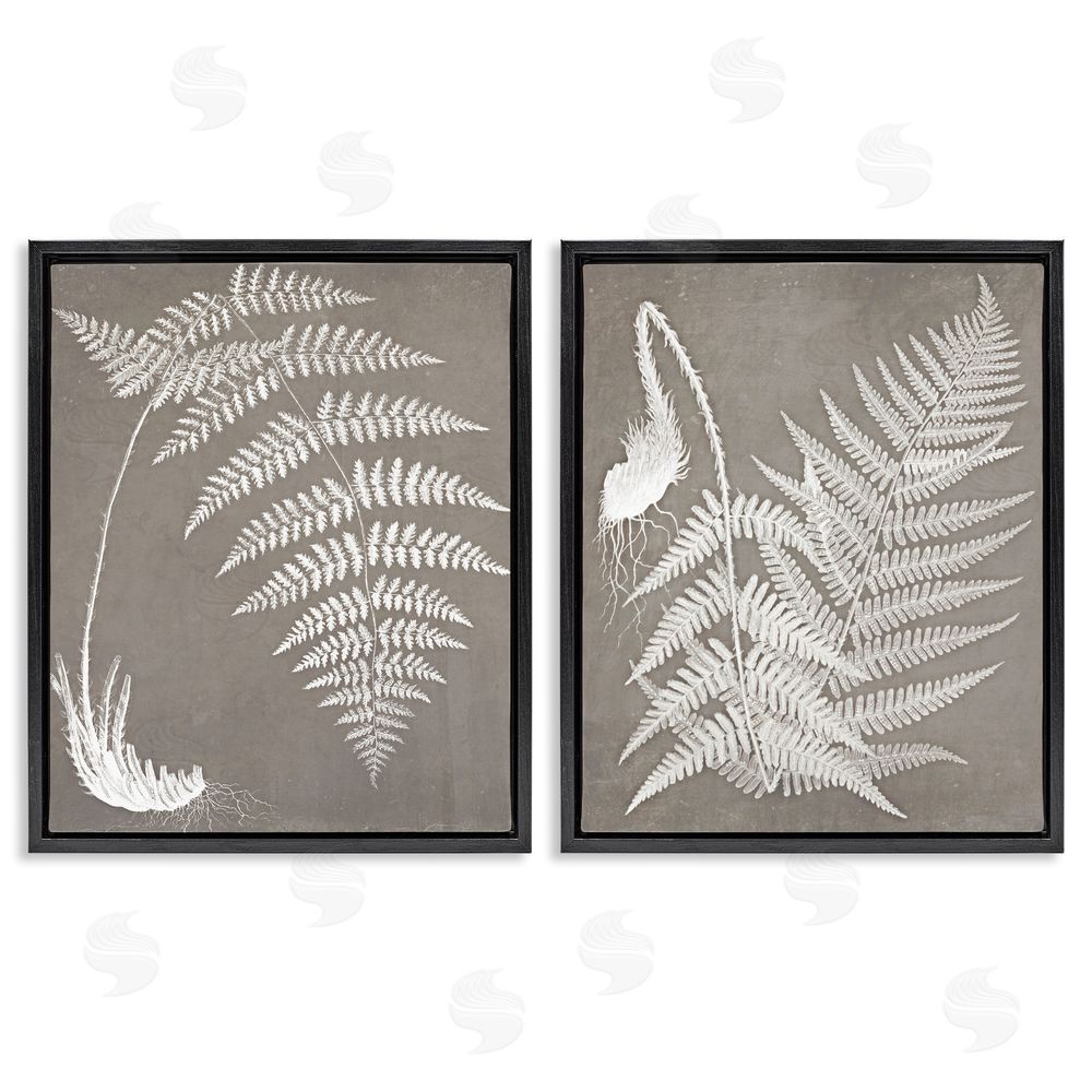 Graffitee Studios Fern Plant White Botanical Herb Roots Black Floating Frame Canvas Wall Art Print