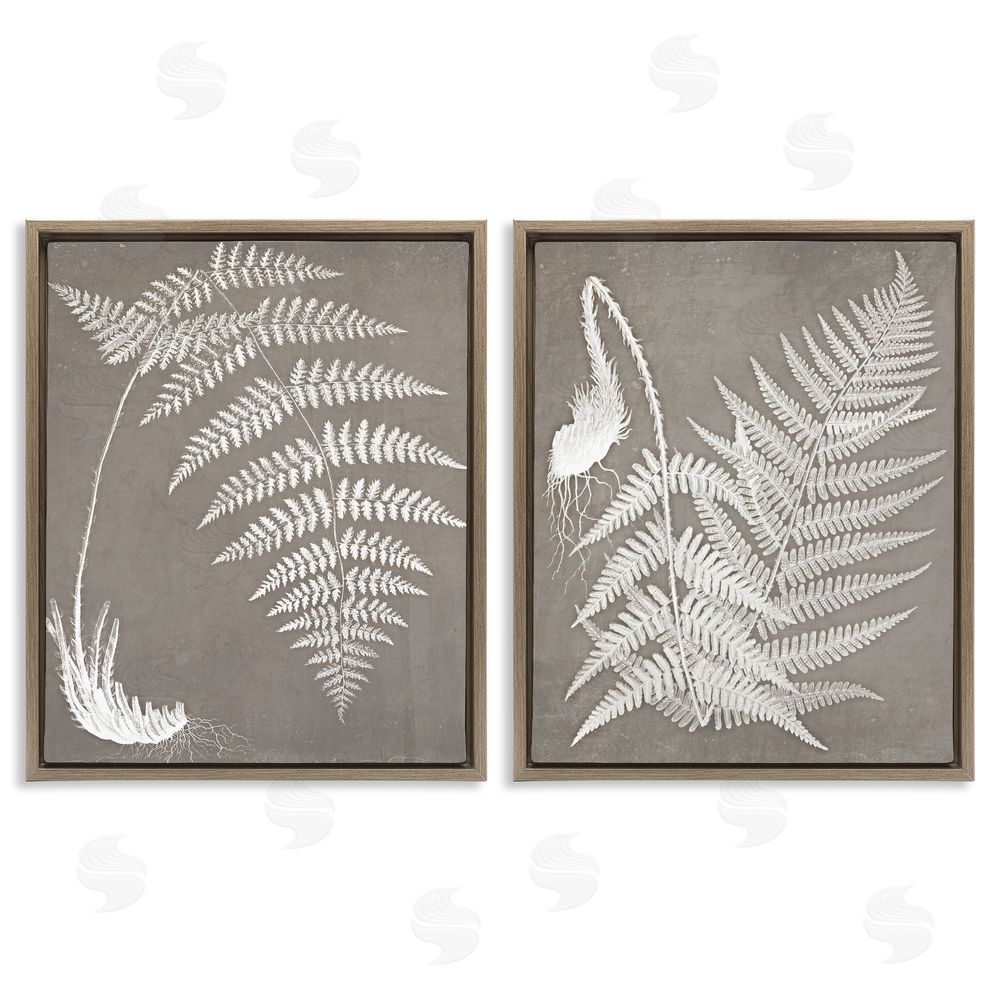 Graffitee Studios Fern Plant White Botanical Herb Roots Brown Floating Frame Canvas Wall Art Print