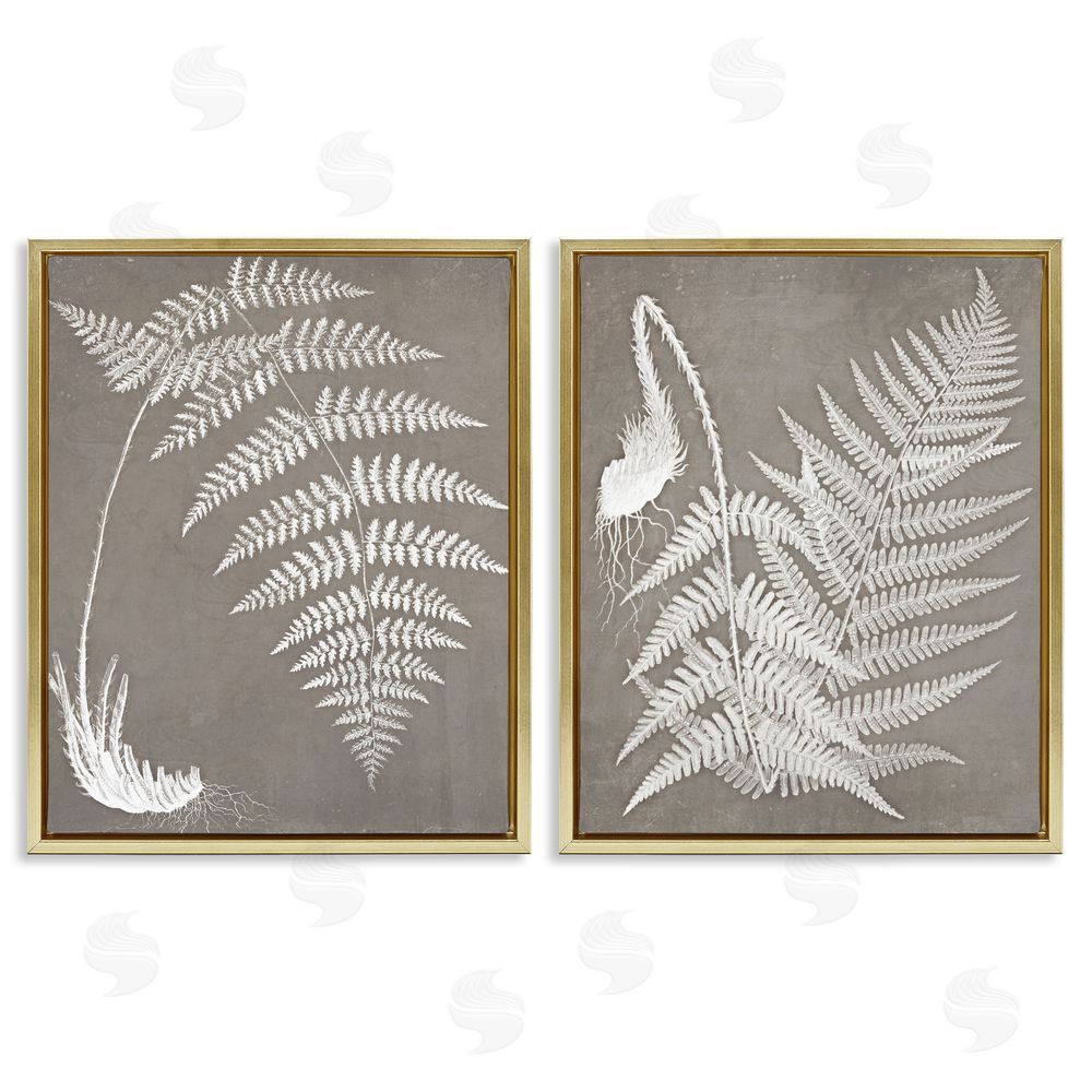 Graffitee Studios Fern Plant White Botanical Herb Roots Gold Floating Frame Canvas Wall Art Print