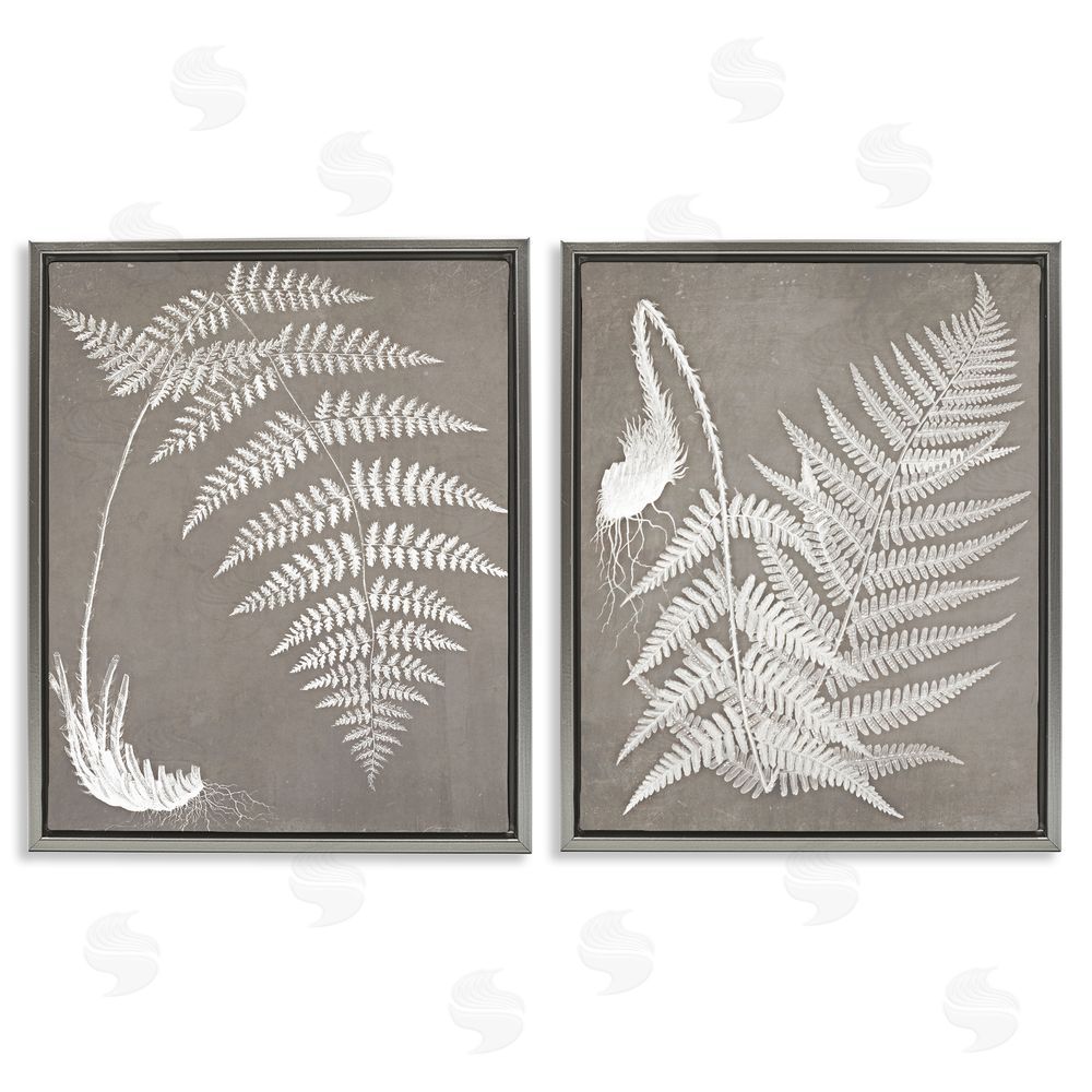 Graffitee Studios Fern Plant White Botanical Herb Roots Gray Floating Frame Canvas Wall Art Print