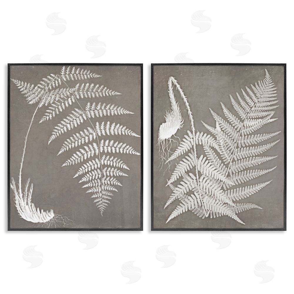 Graffitee Studios Fern Plant White Botanical Herb Roots Black Framed Giclee Wall Art Print