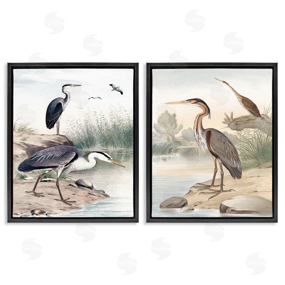 Piddix Elegant Heron Birds Foraging River Edge Black Floating Frame Canvas Wall Art Print