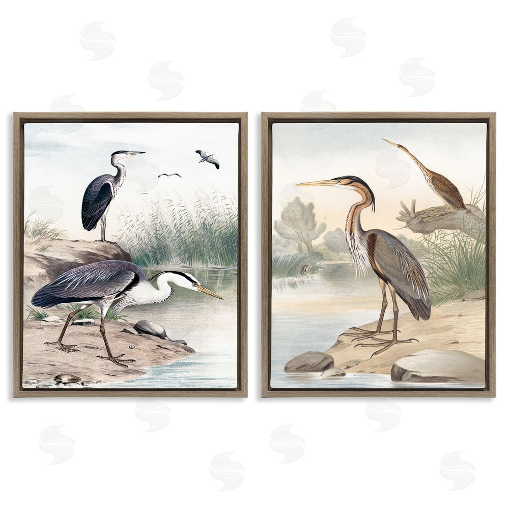 Piddix Elegant Heron Birds Foraging River Edge Brown Floating Frame Canvas Wall Art Print