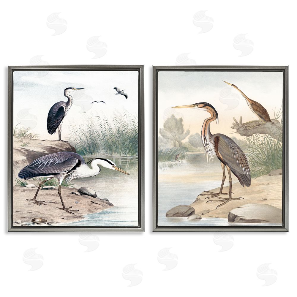 Piddix Elegant Heron Birds Foraging River Edge Gray Floating Frame Canvas Wall Art Print