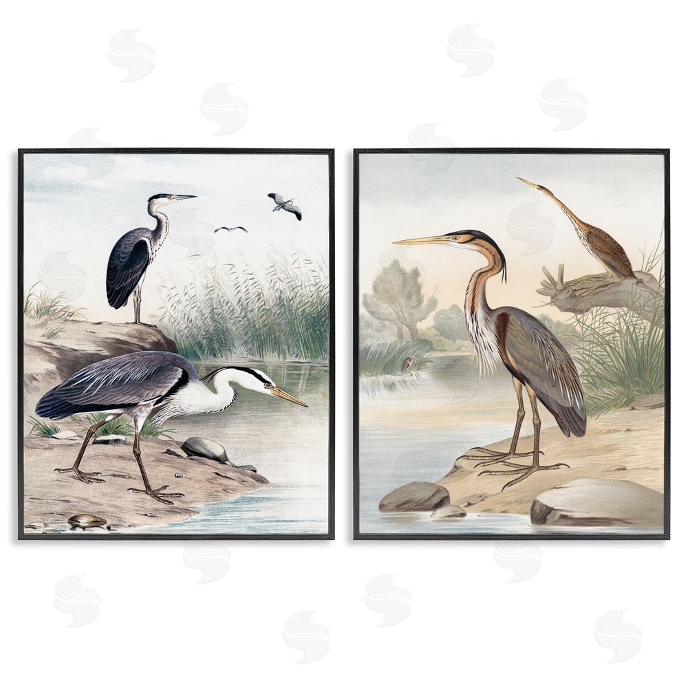 Piddix Elegant Heron Birds Foraging River Edge Black Framed Giclee Wall Art Print