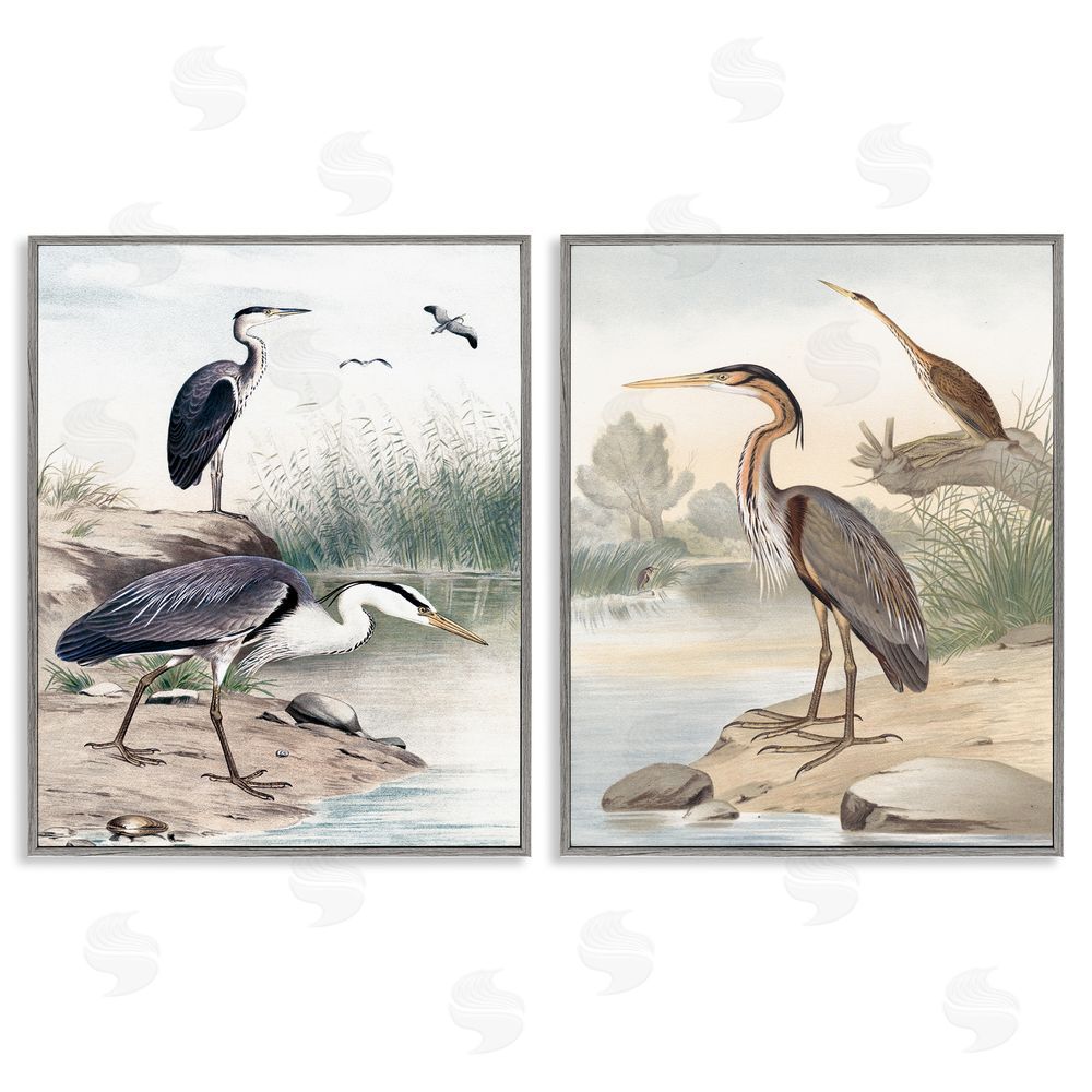 Piddix Elegant Heron Birds Foraging River Edge Gray Framed Giclee Wall Art Print