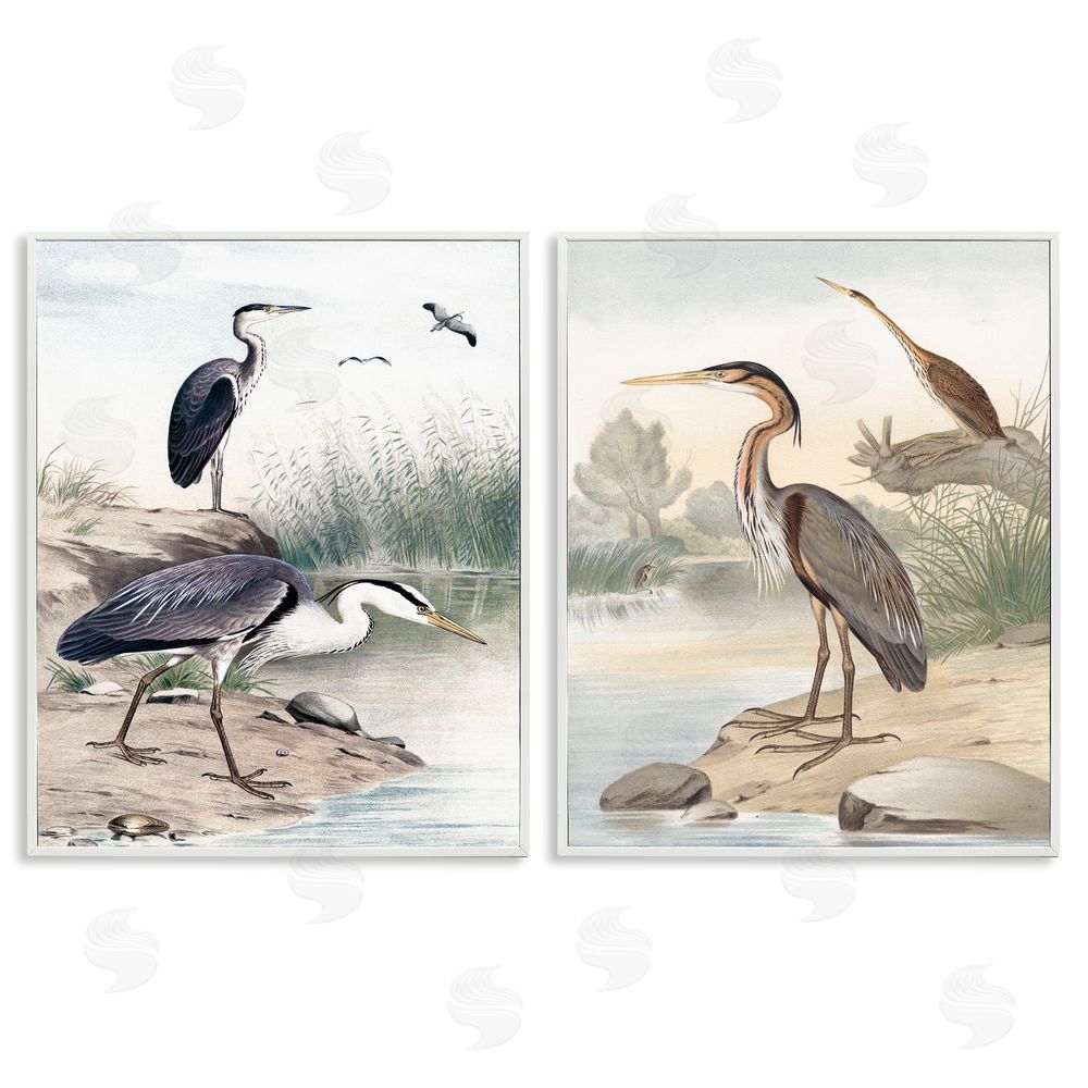 Piddix Elegant Heron Birds Foraging River Edge White Framed Giclee Wall Art Print