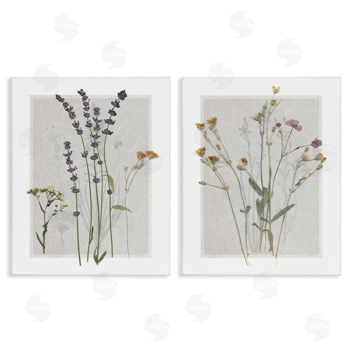 Delicate Wildflower Herb Sprigs Canvas Wall Art, Home Decor by Carol Robinson