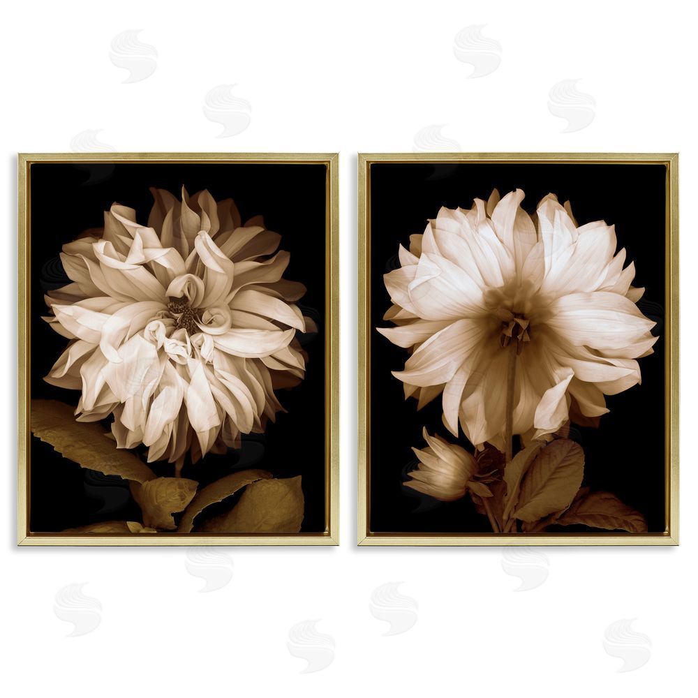 Caroline Kelly Sepia Chrysanthemum Flower Blooms Gold Floating Frame Canvas Wall Art Print