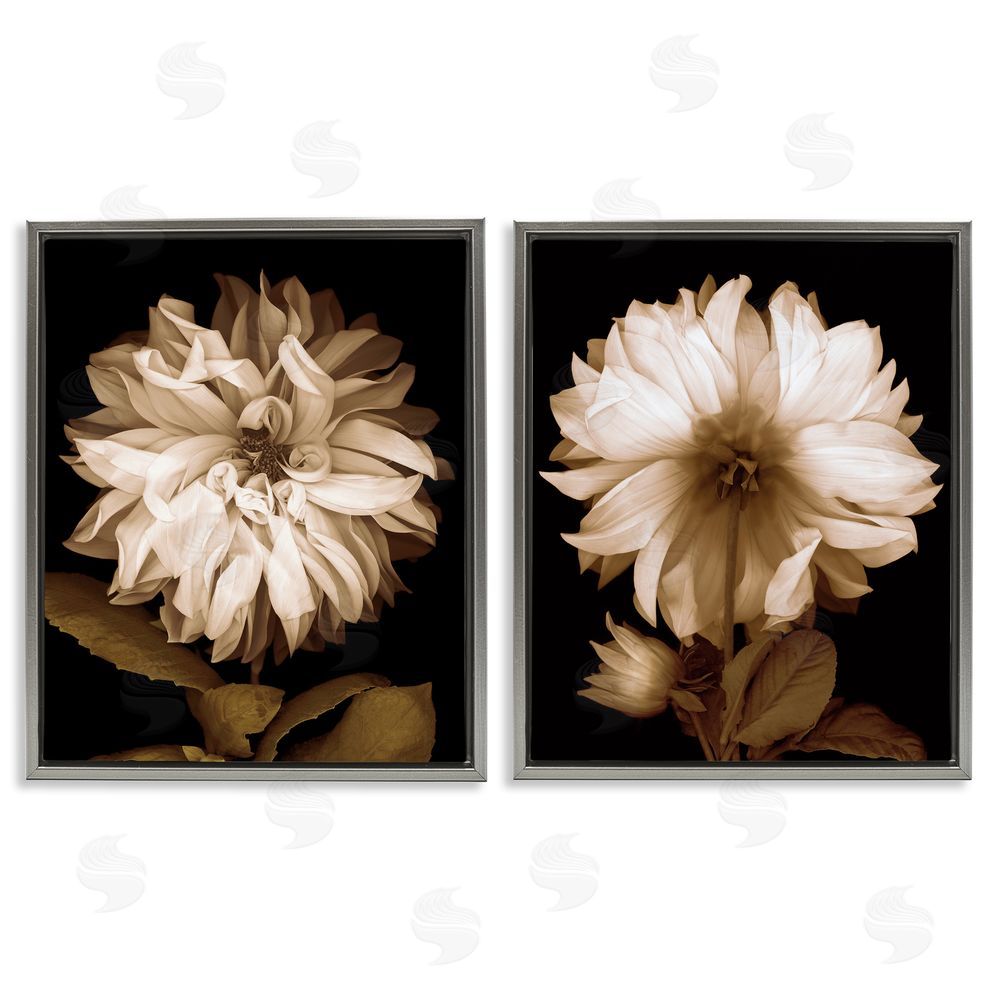 Caroline Kelly Sepia Chrysanthemum Flower Blooms Gray Floating Frame Canvas Wall Art Print