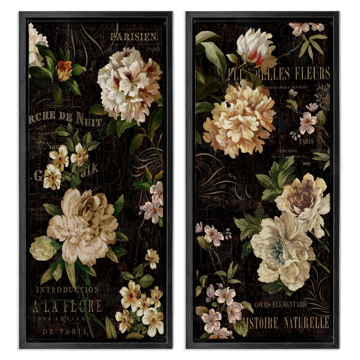 Vintage French Typography Flowers Black Floating Frame Canvas Wall Art, Home Decor by Deborah Devellier