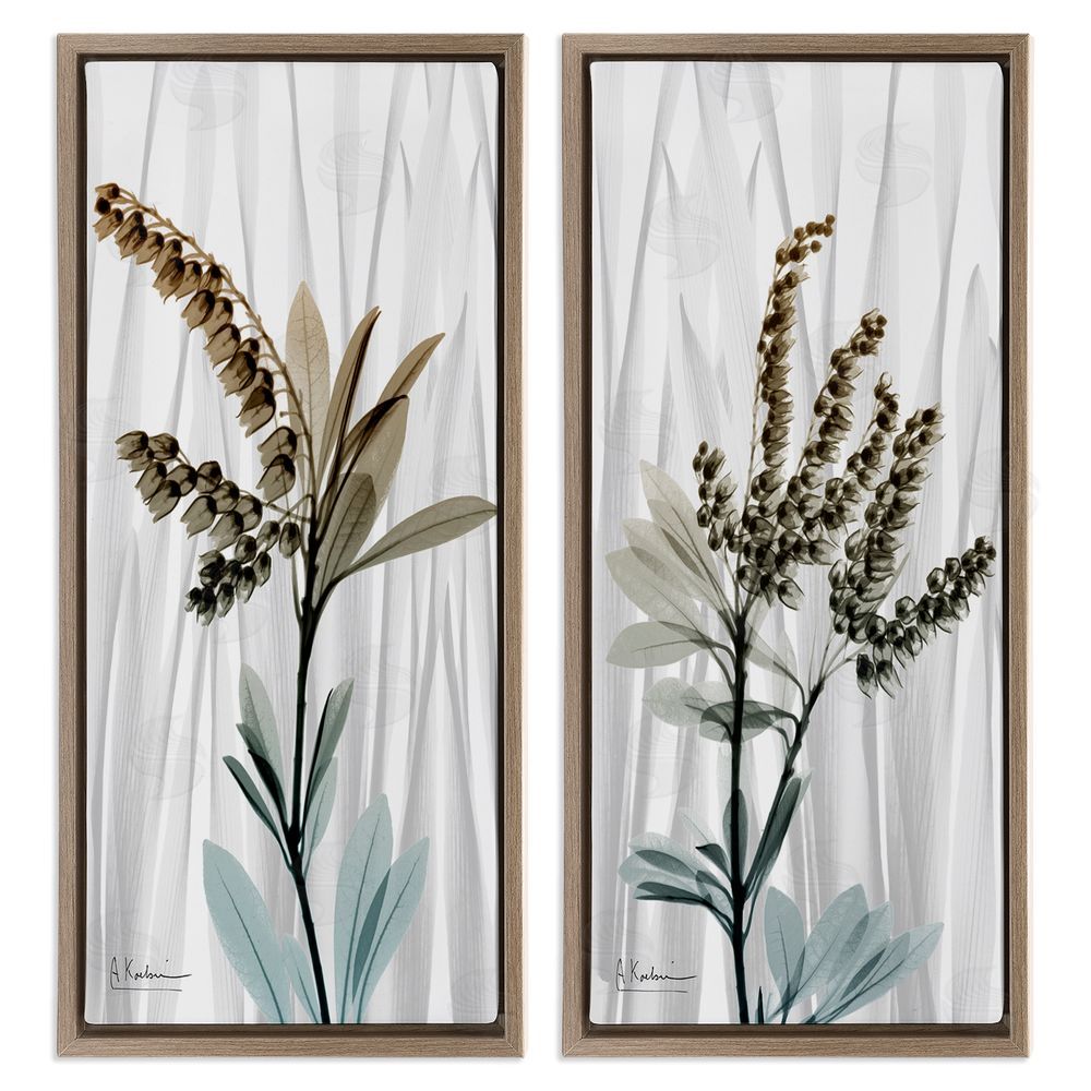 Albert Koetsier Modern Snowdrops Flowers Brown Floating Frame Canvas Wall Art Print