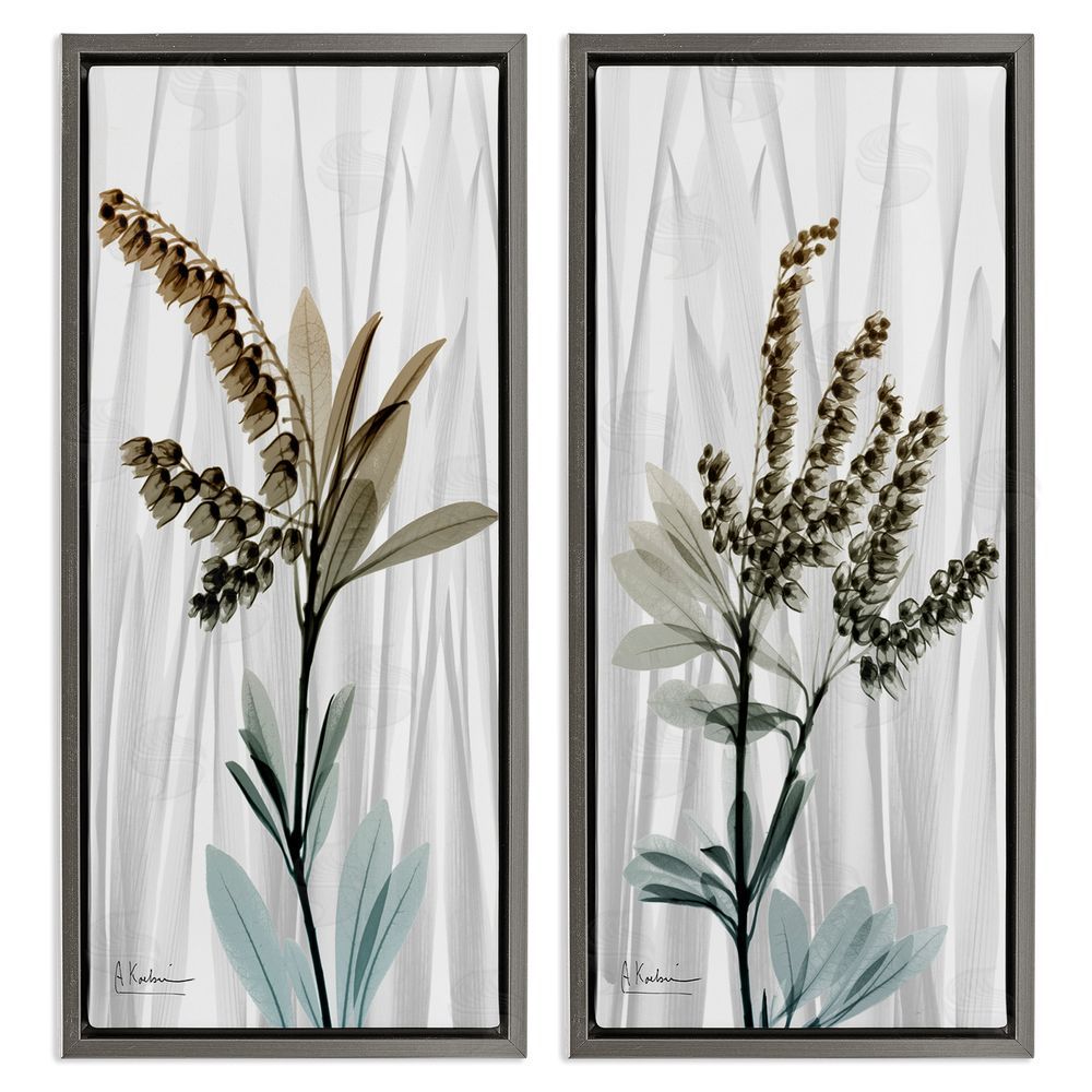 Albert Koetsier Modern Snowdrops Flowers Gray Floating Frame Canvas Wall Art Print