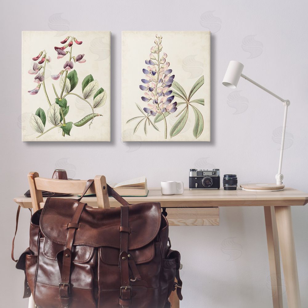 Ridgeway Foxglove Latin Studies Canvas Wall Art Print in Room