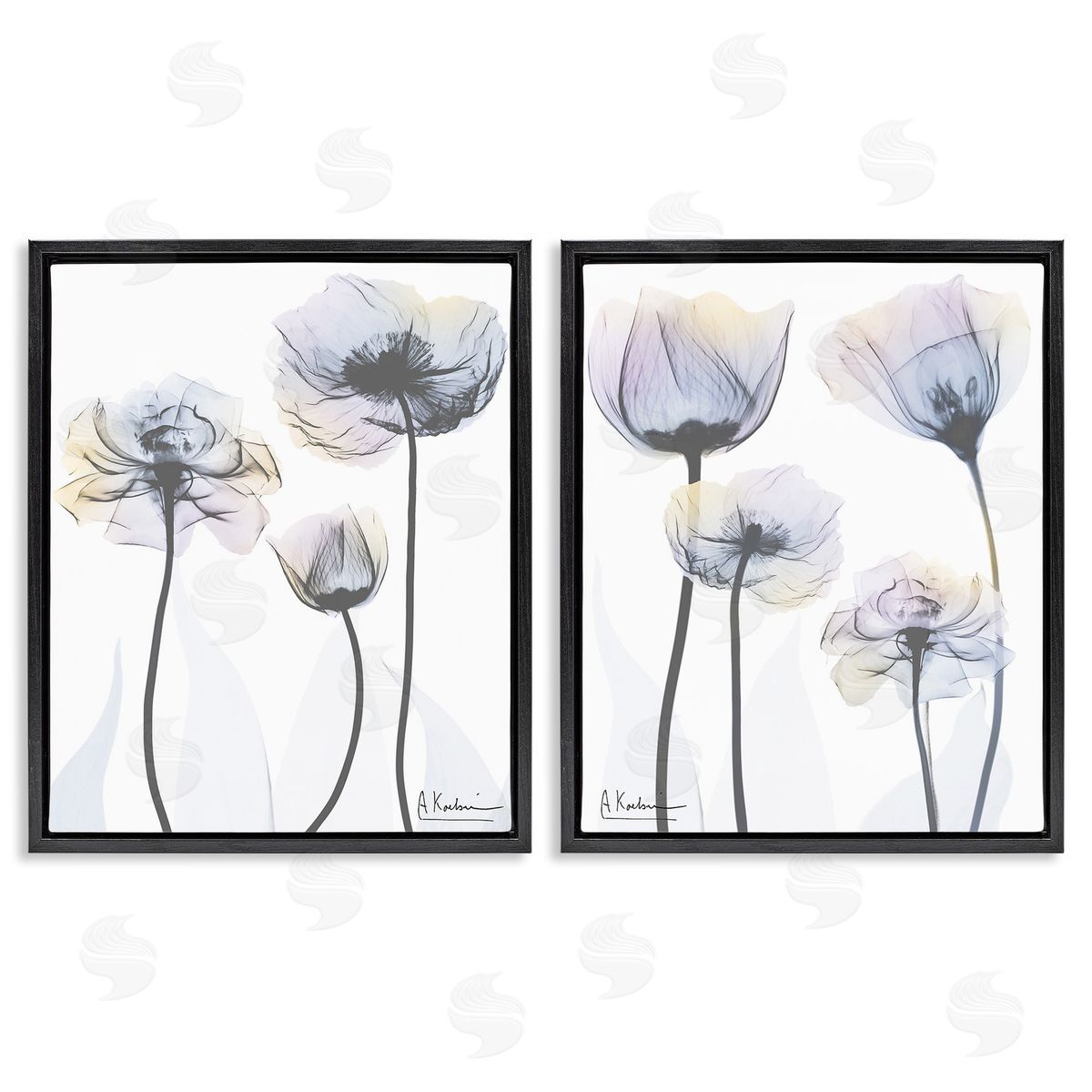 Albert Koetsier Modern X-Ray Blooms Black Floating Frame Canvas Wall Art Print