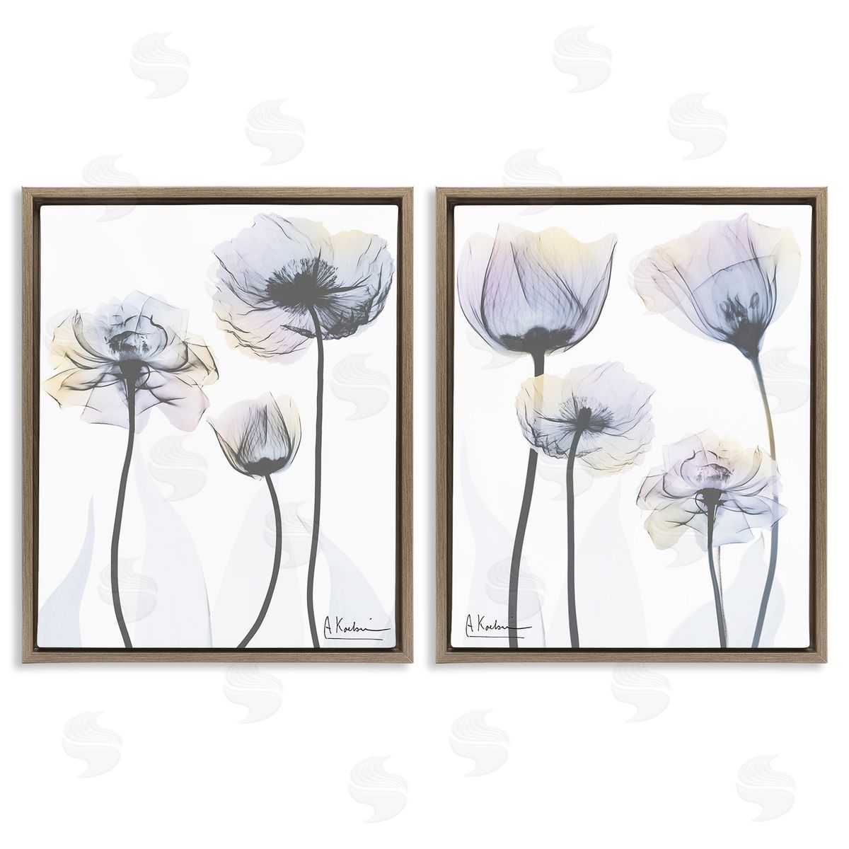 Albert Koetsier Modern X-Ray Blooms Brown Floating Frame Canvas Wall Art Print