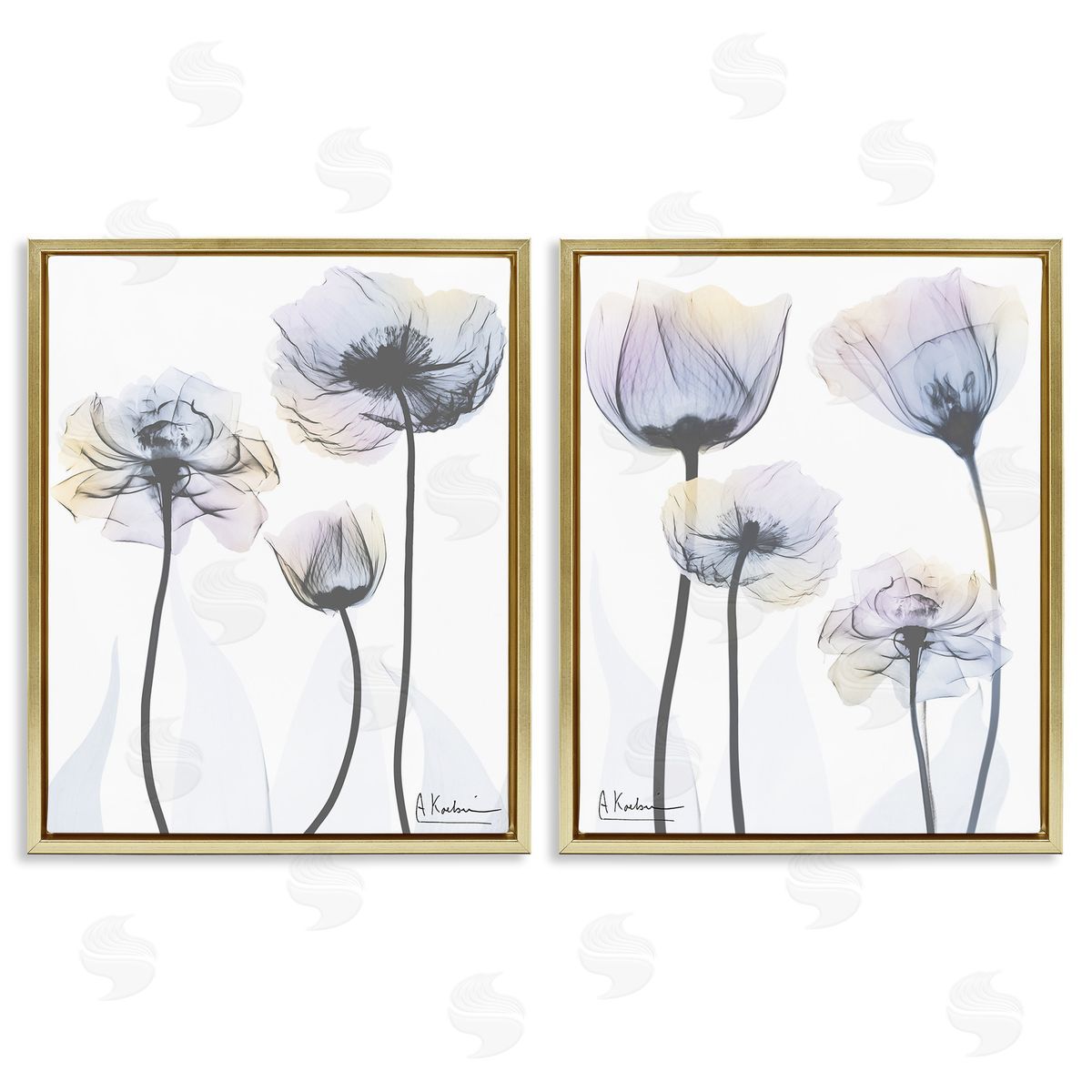 Albert Koetsier Modern X-Ray Blooms Gold Floating Frame Canvas Wall Art Print