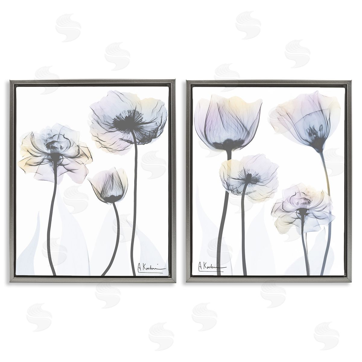 Albert Koetsier Modern X-Ray Blooms Gray Floating Frame Canvas Wall Art Print