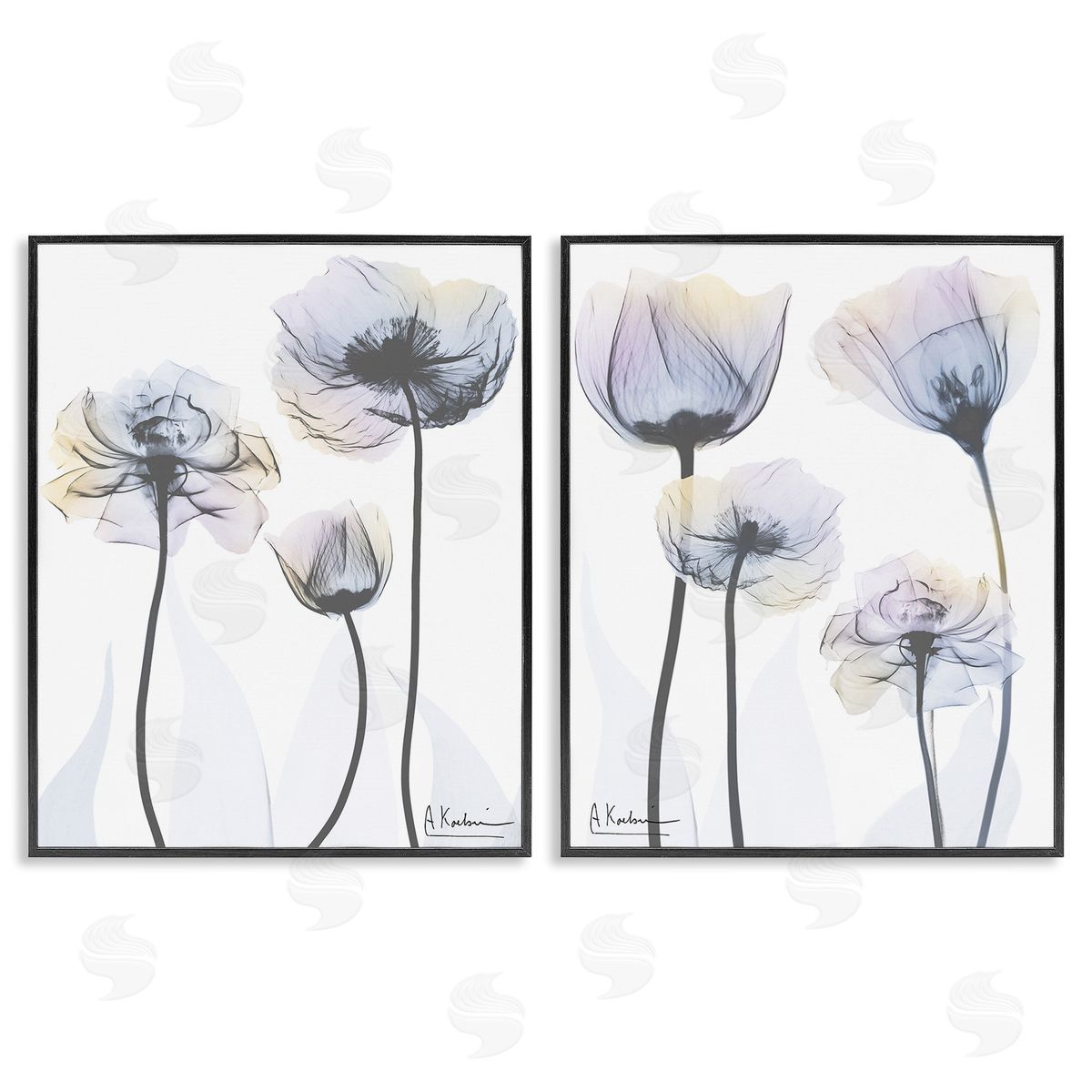Albert Koetsier Modern X-Ray Blooms Black Framed Giclee Wall Art Print