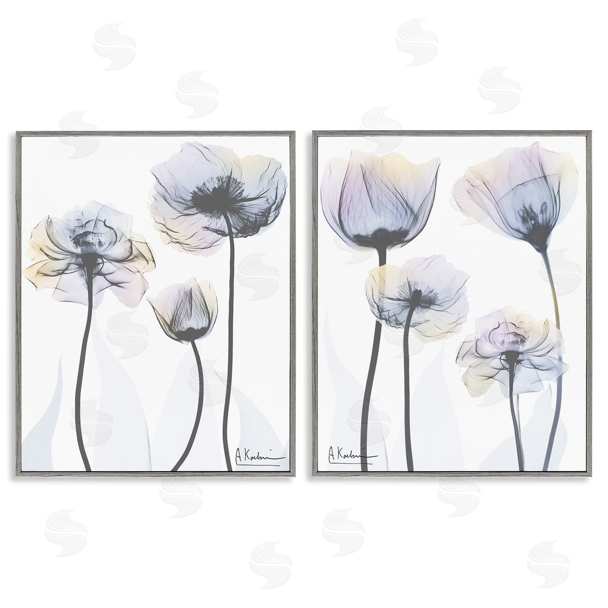 Albert Koetsier Modern X-Ray Blooms Gray Framed Giclee Wall Art Print