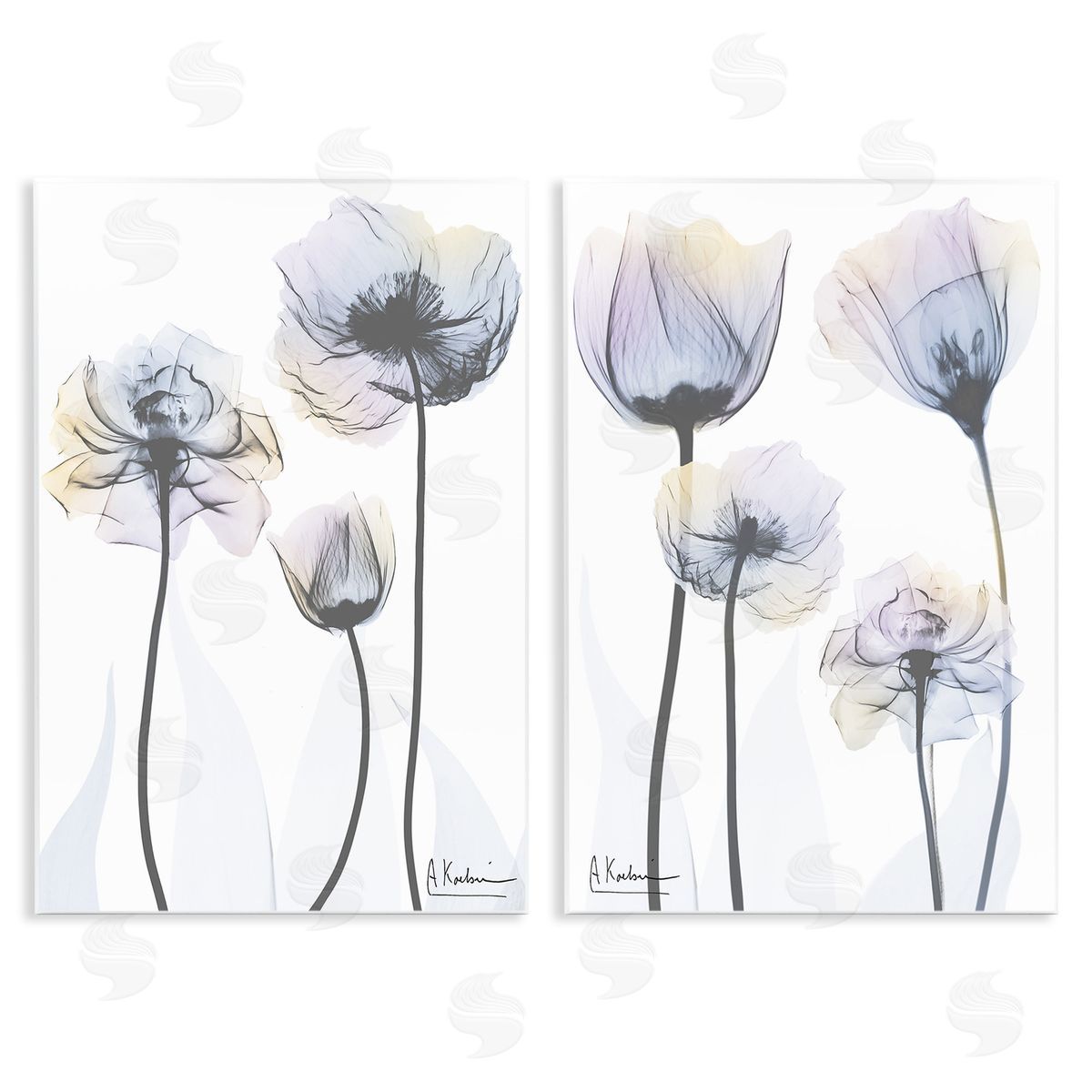 Albert Koetsier Modern X-Ray Blooms Wooden Wall Plaque Art Print