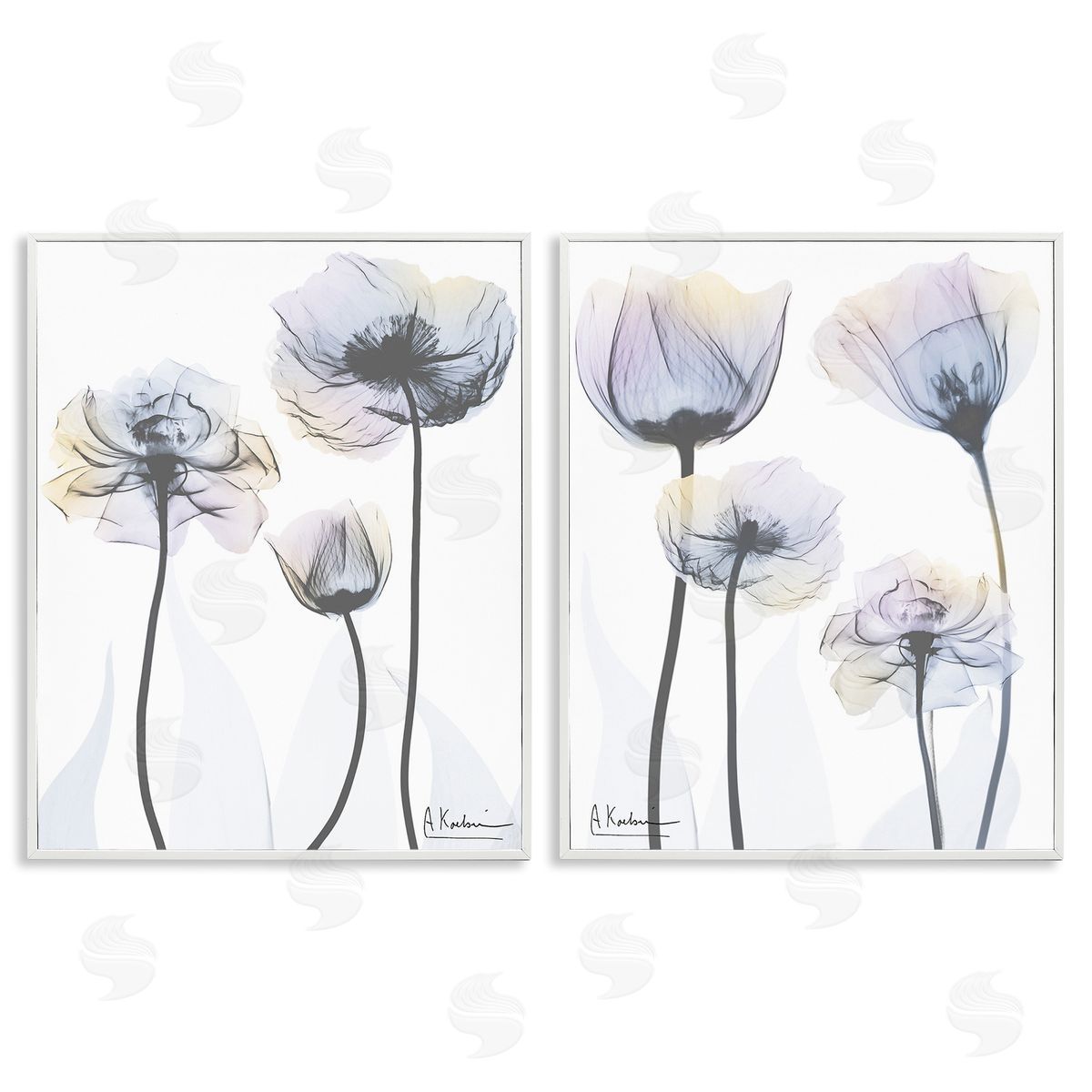 Albert Koetsier Modern X-Ray Blooms White Framed Giclee Wall Art Print