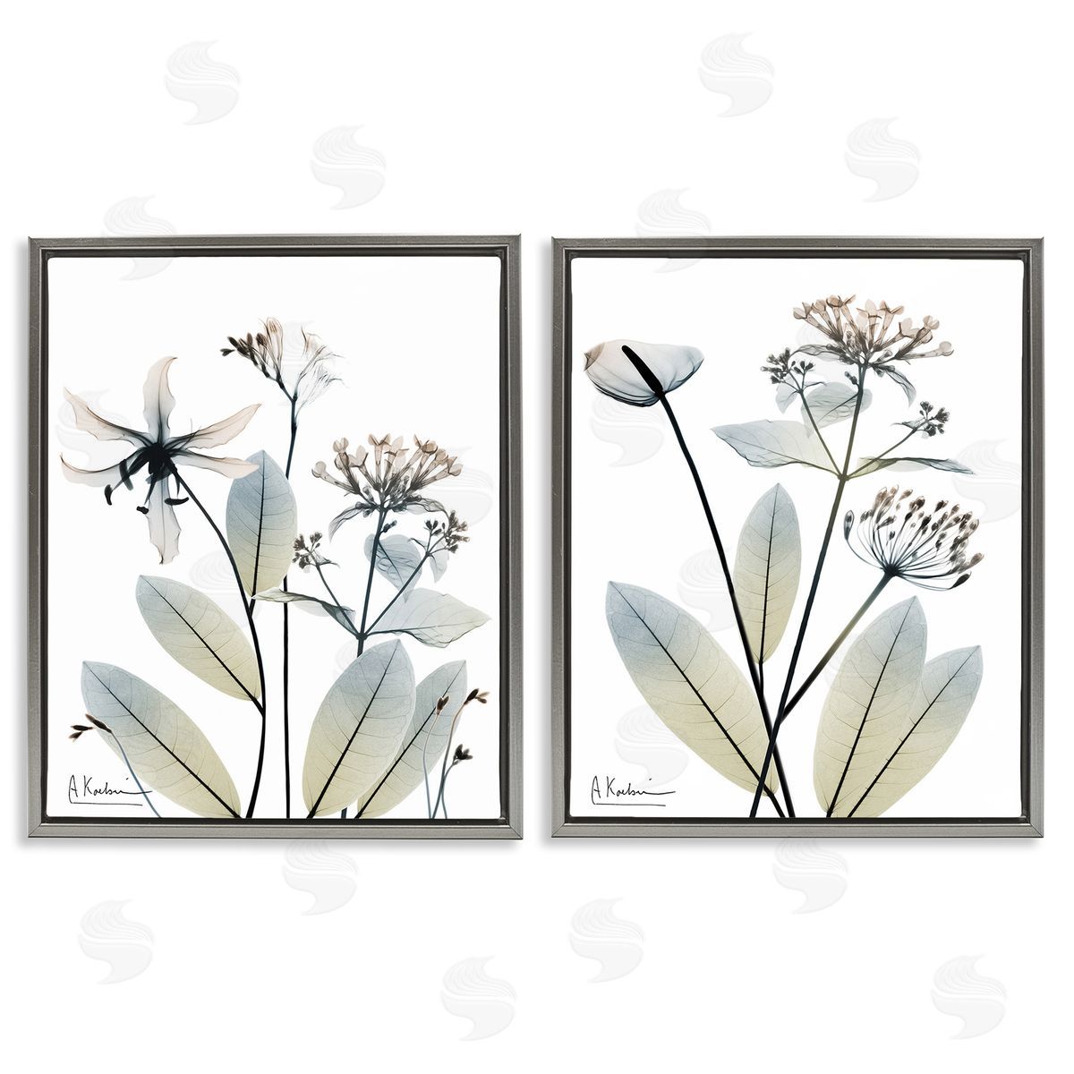 Albert Koetsier Modern Budding Blooms Gray Floating Frame Canvas Wall Art Print