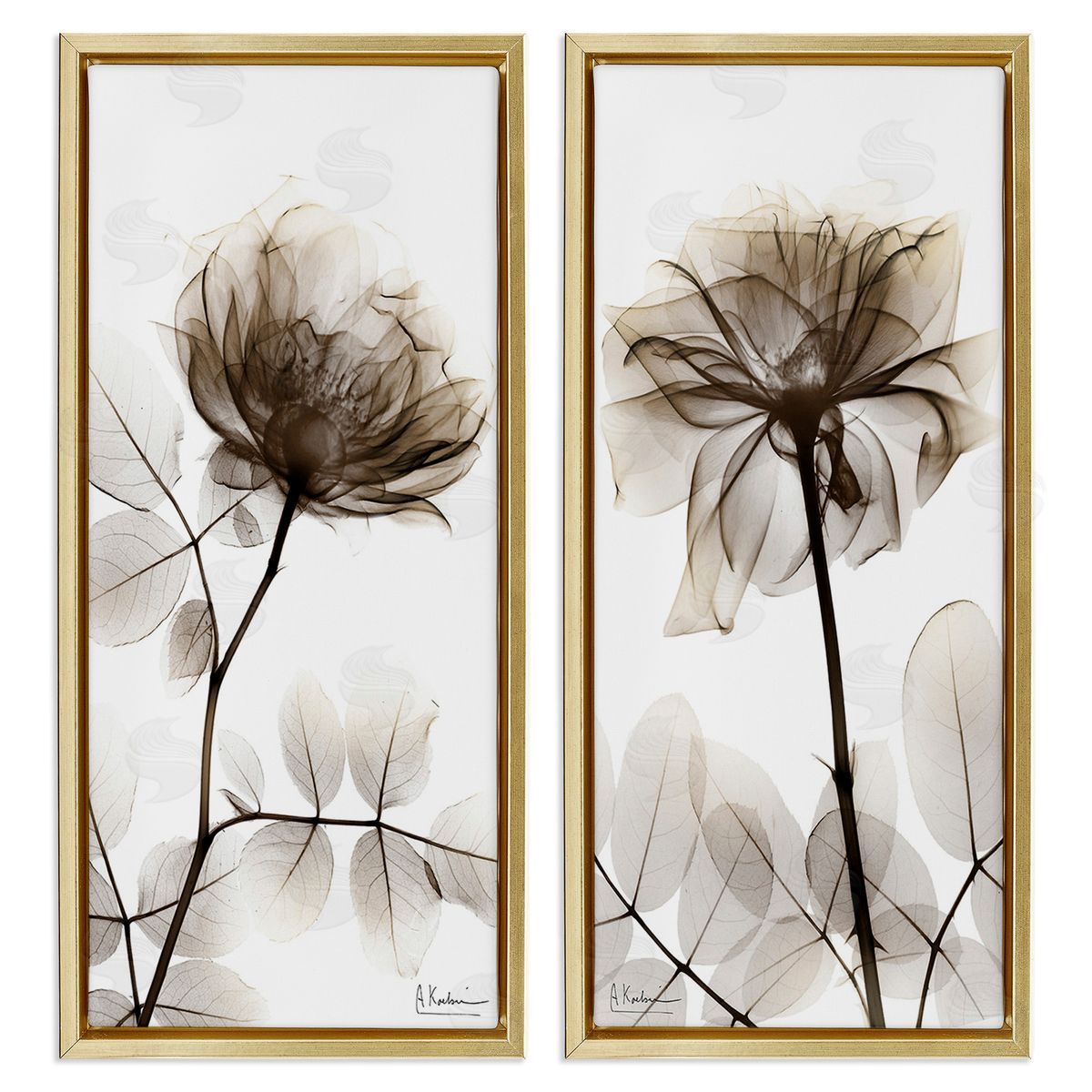 Albert Koetsier Natural Modern Blooms Gold Floating Frame Canvas Wall Art Print