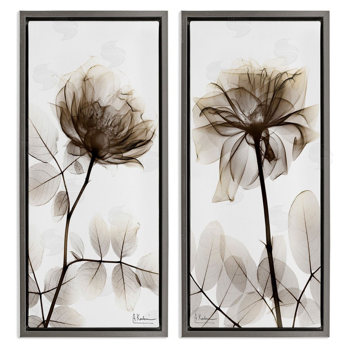 Albert Koetsier Natural Modern Blooms Gray Floating Frame Canvas Wall Art Print