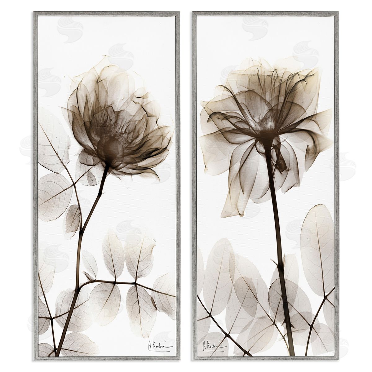 Albert Koetsier Natural Modern Blooms Gray Framed Giclee Wall Art Print