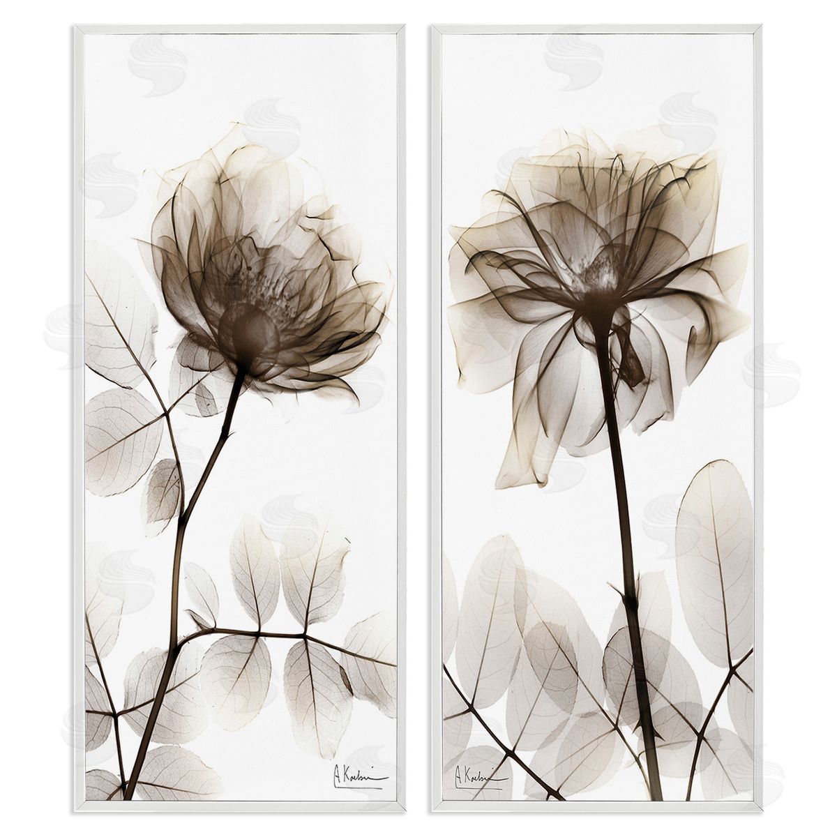 Albert Koetsier Natural Modern Blooms White Framed Giclee Wall Art Print