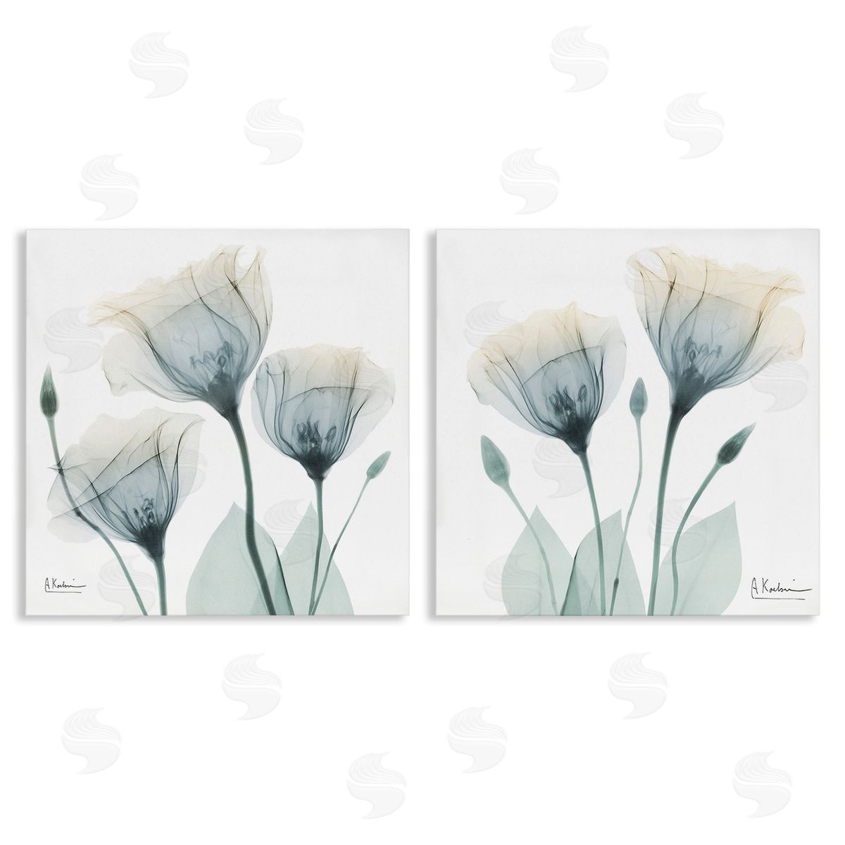 Albert Koetsier Budding Opaque Tulips Canvas Wall Art Print